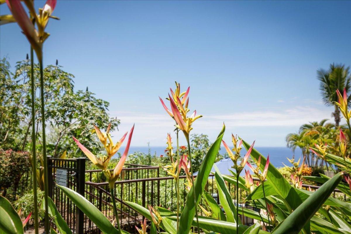 凯路亚-科纳Kona Westwind 1 New! Quiet Ocean-View 1St Floor | Patio | Pool别墅 外观 照片