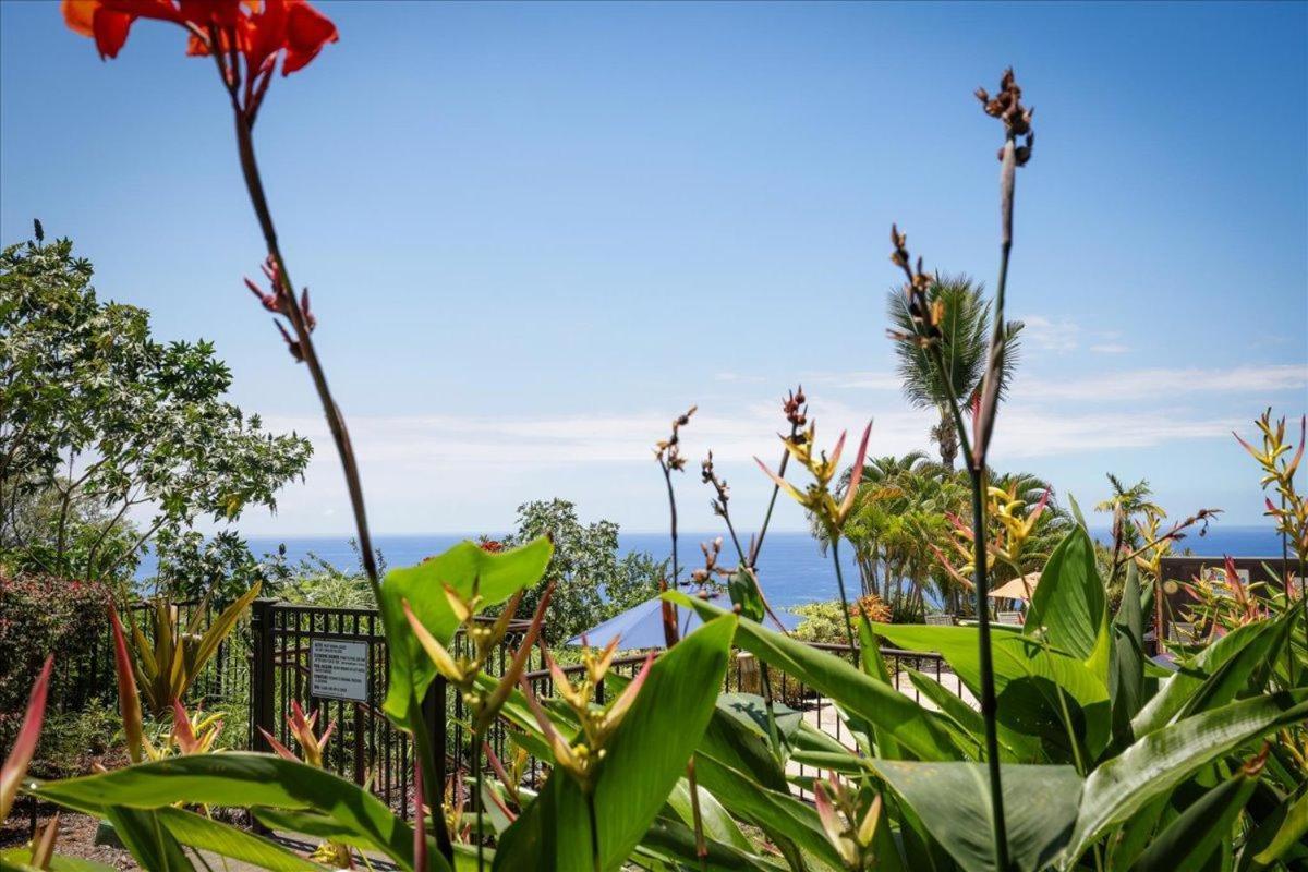 凯路亚-科纳Kona Westwind 1 New! Quiet Ocean-View 1St Floor | Patio | Pool别墅 外观 照片